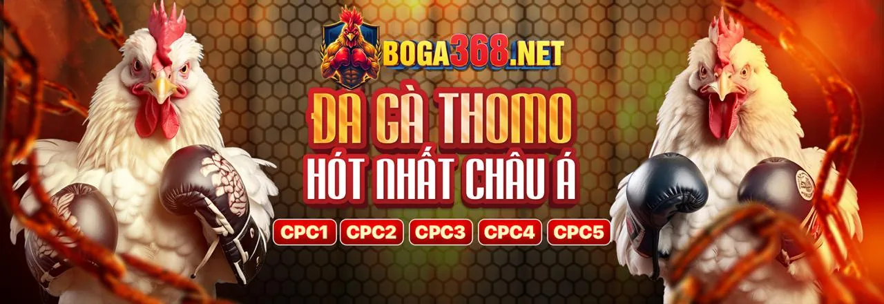 FCB8 Game Hỗ Trợ Khách Hàng Chuyên Nghiệp
